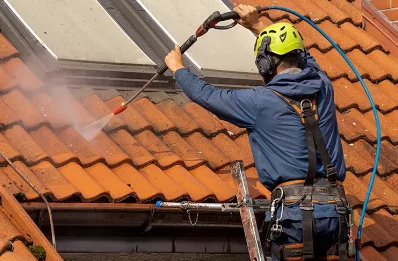 Démoussage et hydrofuge de toiture à Bouzin